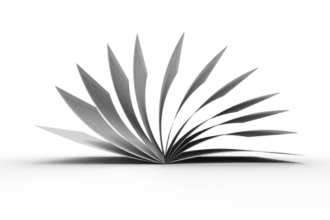 Open Notebook Illustration with Transparent Background - Download Free Stock Videos Pikwizard.com
