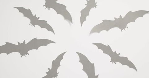 Decorative Halloween Bat Shadows on Minimalist Background