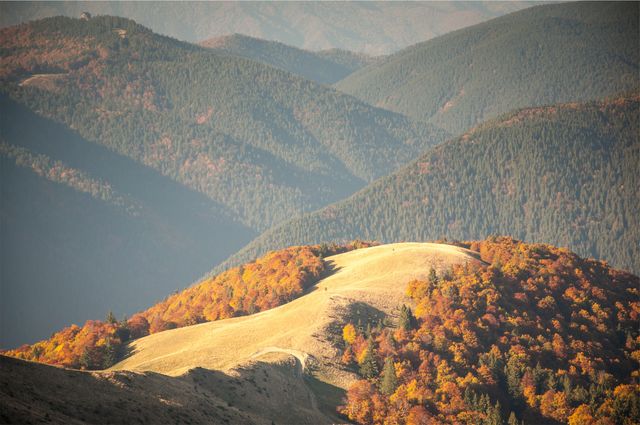Autumn Colors Blanket Rocky Mountain Hills - Download Free Stock Photos Pikwizard.com