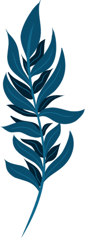 Minimalist Teal Leaf Branch on Transparent Background - Download Free Stock Videos Pikwizard.com