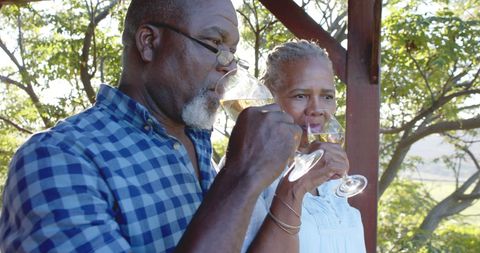 Senior African American Couple Enjoying Wine on Sunny Porch