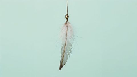 Elegant dreamcatcher feather hanging on mint green background