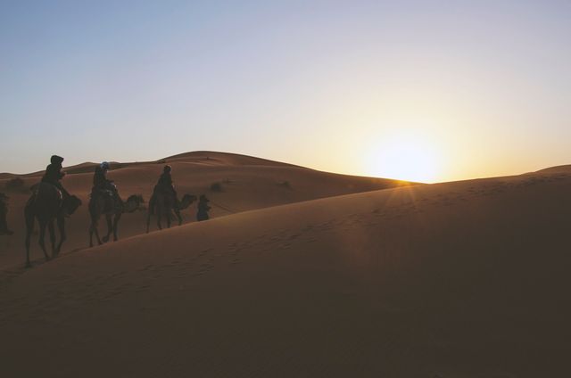 Camel Caravan Traveling at Sunset in Desert - Download Free Stock Photos Pikwizard.com