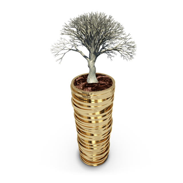 Tree Growing on Gold Coins Stack - Transparent PNG for Finance Concept - Download Free Stock Videos Pikwizard.com