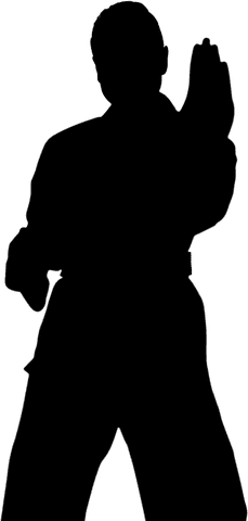 Transparent silhouette of male martial artist kicking