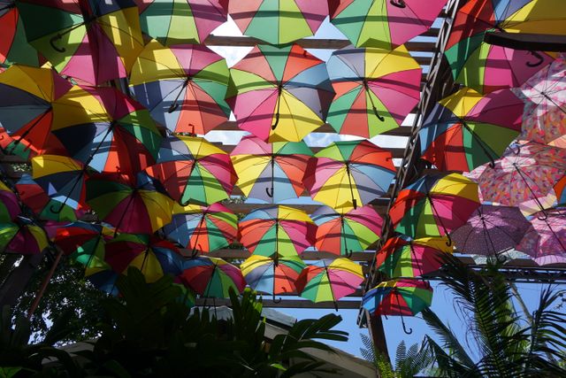 Capturing a vibrant scene of colorful umbrellas hanging overhead in a decorative pattern. Perfect for projects involving urban decor, creative installations, public art, or summer event promotion. Ideal for travel blogs, tourism campaigns, and community event advertisements.