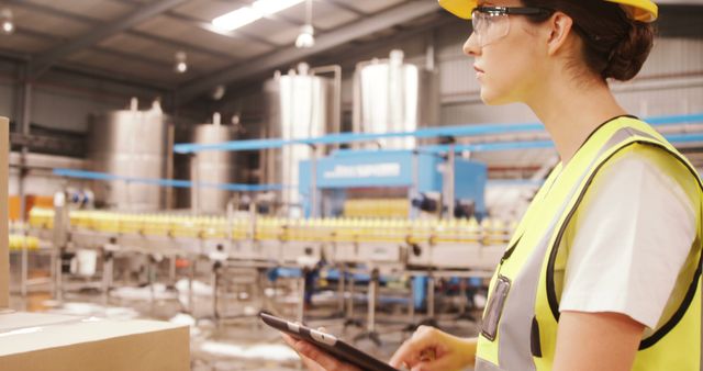 Female Industrial Worker with Clipboard in Manufacturing Plant - Download Free Stock Images Pikwizard.com