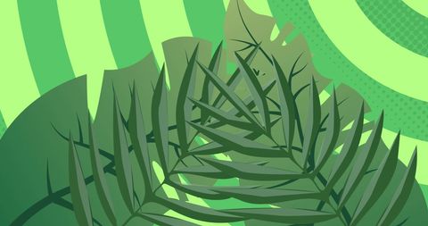 Illustration of Exotic Green Leaves over Radial Green Stripes - Download Free Stock Images Pikwizard.com