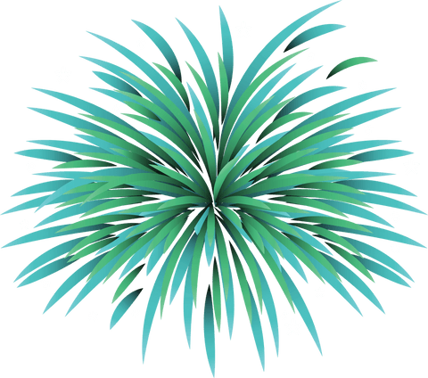 transparent green fireworks burst with stars for celebrations - Download Free Stock Videos Pikwizard.com