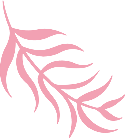 Pink botanical filigree on transparent background