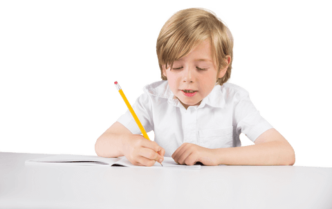 focused schoolboy writing in notebook on transparent background - Download Free Stock Videos Pikwizard.com