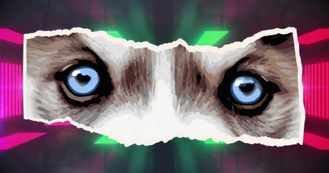Husky Blue Eyes Peering Through Torn Paper with Neon Pink and Green Cyber Bars