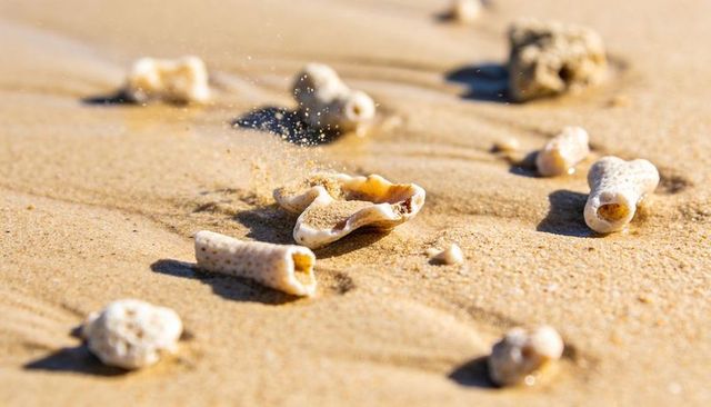 Macro of sunlit coral fragments on wet golden sand with sparkling spray and soft bokeh