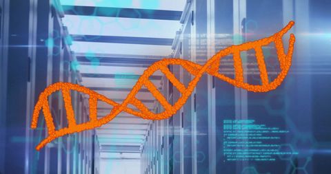 DNA Strand Overlaying High-Tech Server Room - Download Free Stock Images Pikwizard.com