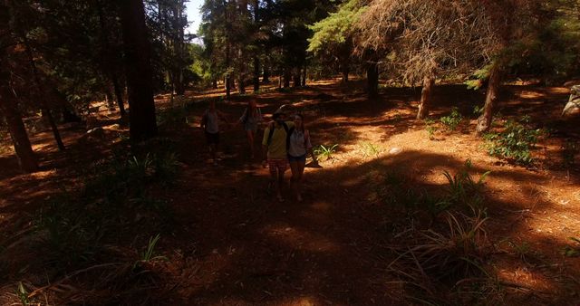 Group of friends hiking through forested area during daytime, enjoying nature and adventure. Can be used for promoting outdoor activities, travel ideas, healthy lifestyle, and camaraderie. Ideal for brochures, websites, blogs on hiking trails and outdoor adventures.