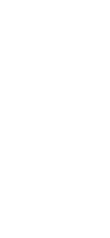 Transparent Silhouette of Businesswoman on White Background