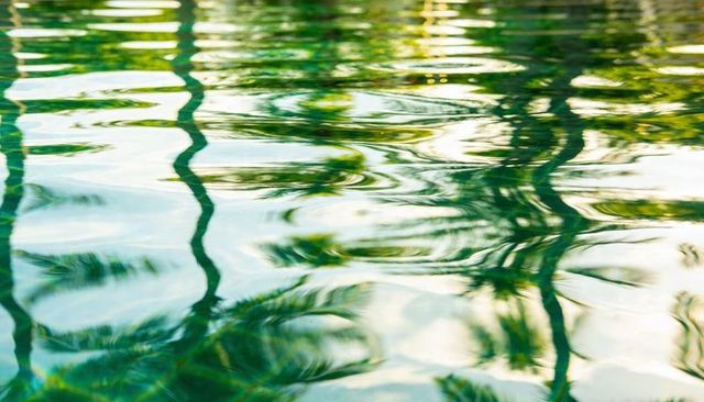 Sunlit palm reflections rippling across turquoise water surface with abstract green highlights