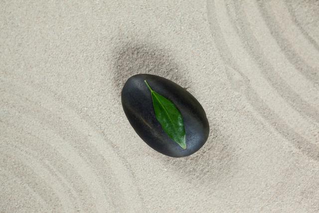 Black pebble stone with green leaf on sand creating a tranquil and balanced scene. Ideal for use in wellness, spa, and meditation contexts. Perfect for promoting relaxation, harmony, and natural beauty.