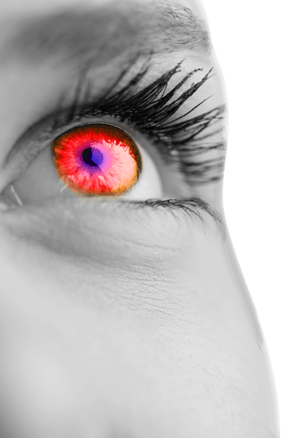 woman's red and purple eye close-up on transparent png background - Download Free Stock Videos Pikwizard.com