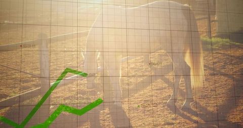 Grazing pale horse backlit at golden hour with green growth trend graph overlay