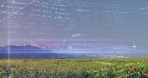 Digital Interface with Stock Market Data Over Agricultural Field