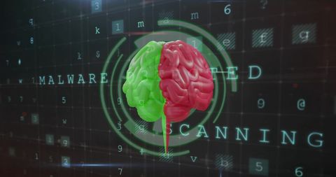 Digital Brain Analysis with Data Integration Highlights - Download Free Stock Images Pikwizard.com