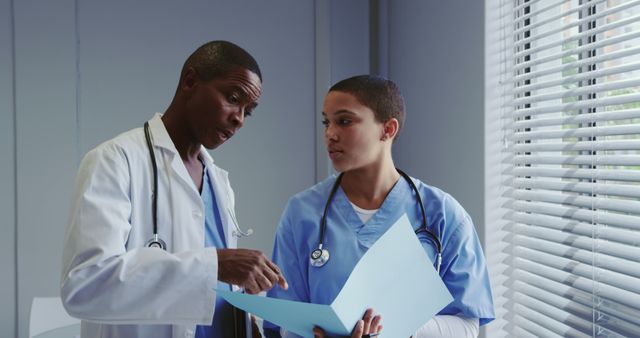 Medical Professionals Discussing Patient Records in Hospital - Download Free Stock Images Pikwizard.com