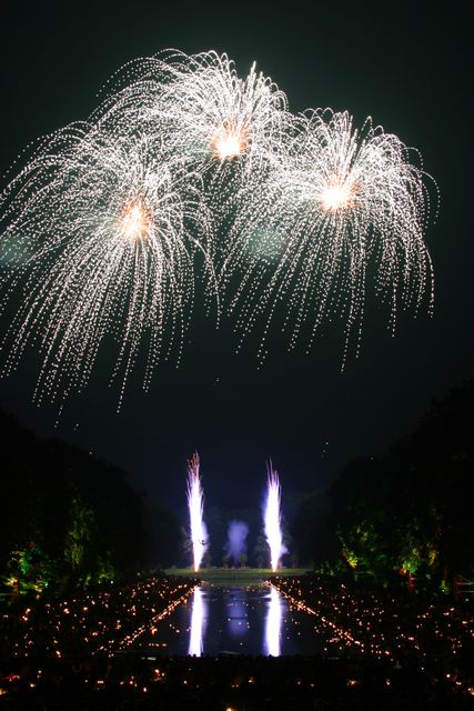 Beautiful view of fireworks explosion at night. Event, party and celebration concept