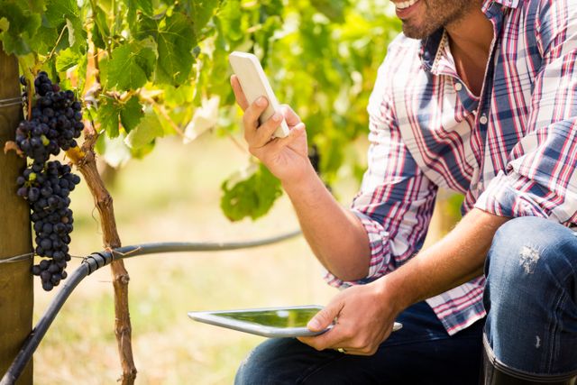 Midsection of young man using phone while holding tablet at vineyard