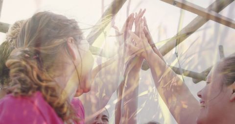Women High-Fiving at Obstacle Course with Nature Blend