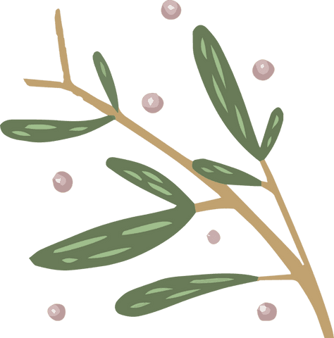 Botanical Branch with Green Leaves and Pink Berries on Transparent Background