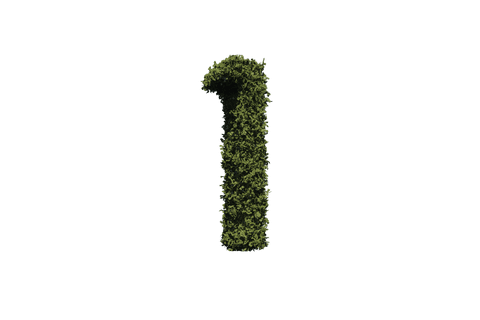 leafy number one in vector style on transparent background - Download Free Stock Videos Pikwizard.com