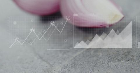 Sliced Red Onions Background with Superimposed Graphs