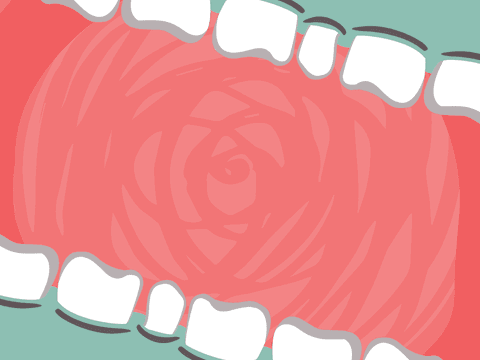 colorful transparent tooth vector illustration - Download Free Stock Videos Pikwizard.com