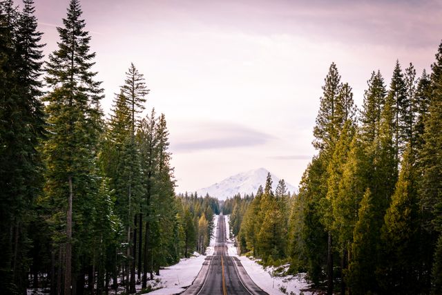 Serene Winter Road Through Pine Forest Leading to Snow-Capped Mountain - Download Free Stock Photos Pikwizard.com