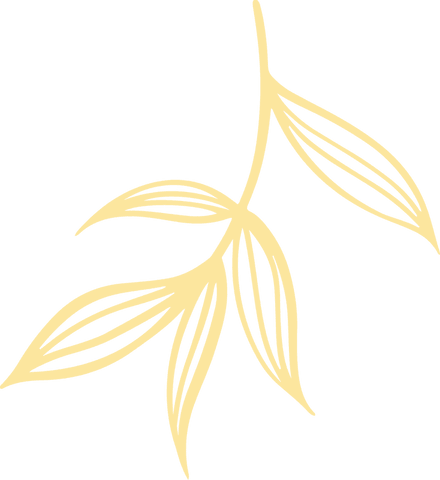 Transparent abstract branch with linear leaves for modern design