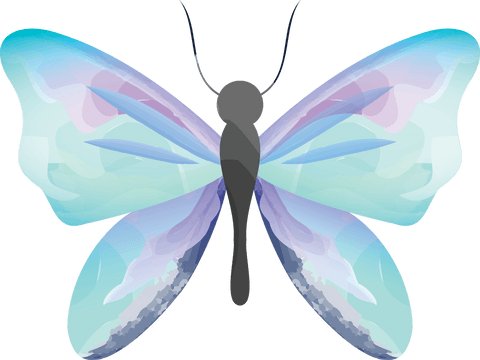 elegant blue butterfly with hd transparent background - Download Free Stock Videos Pikwizard.com