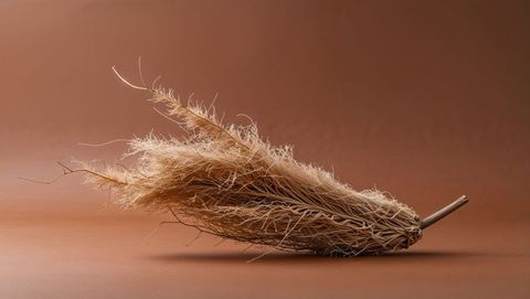 Dried pampas grass on brown surface - rustic elegance and organic minimalism
