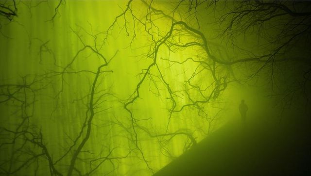 Silhouette in foggy forest with enigmatic light