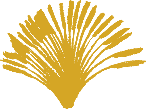 radiating golden fan shape on transparent background - Download Free Stock Videos Pikwizard.com