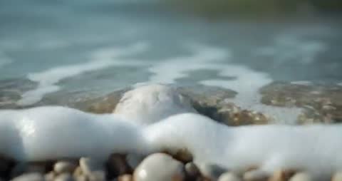 Gently Advancing Sea Foam on Pebbled Shore with Scallop Shell