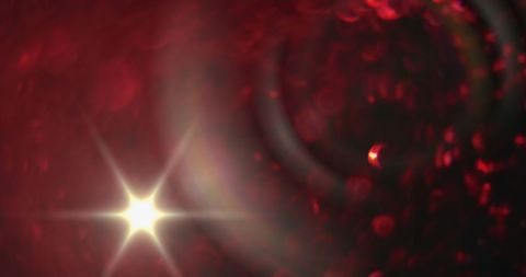 Vibrant Red Petals With Lens Flare and Bright Light - Download Free Stock Images Pikwizard.com