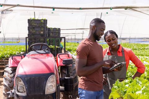 Colleagues Discussing Sustainable Agriculture in Greenhouse Near Tractor