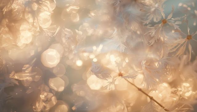 Golden-hour feathery seed heads glowing with warm backlight, bokeh orbs and filaments