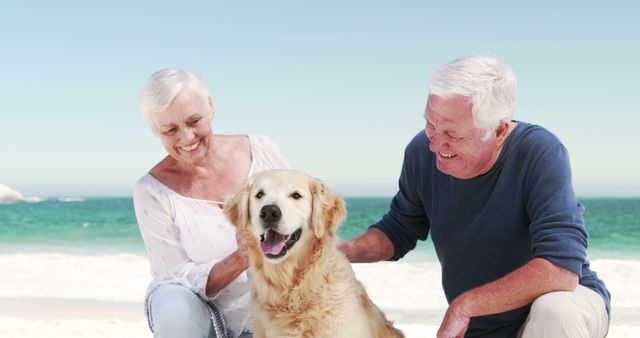 Senior couple smiling and enjoying time at the beach with their golden retriever. Ideal for use in articles and advertisements related to retirement, pet companionship, summer vacations, leisure activities, and family bonding for older adults.