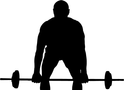 silhouette of man lifting weights on transparent background - Download Free Stock Videos Pikwizard.com