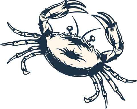 stylized transparent crab illustration with raised claws - Download Free Stock Videos Pikwizard.com