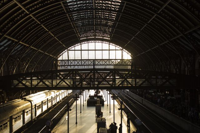 Sunlight shines through the large, arched roof of a bustling train station while trains are stationed at the platforms. The steel structure creates an intricate pattern against the light. Ideal for projects related to travel, history, urban life, and transportation infrastructure.