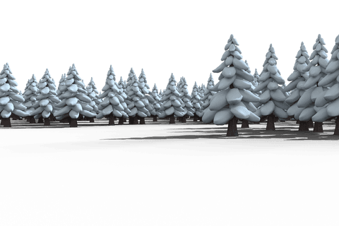 Snow-Covered Fir Trees on Transparent Background - Download Free Stock Videos Pikwizard.com