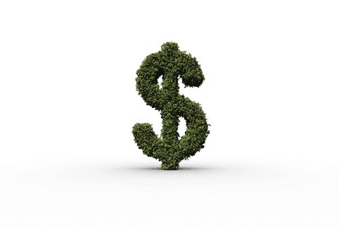 Dollar Symbol Made of Grass on Transparent Background